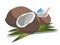 Vector illustration of three coconuts: whole, halved and chopped with straw and umbrella