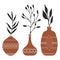Vector illustration of three twigs in different vases