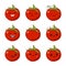 Vector illustration of an tomato Cute cartoon vegetable vector character set isolated on white. Emotions. Stickers. kawaii