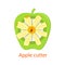 Vector illustration of a tool for cutting lobes apples. Knife with slices apple green . Pieces delicious fruit