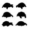 Vector illustration of tortoise turtle silhouettes