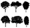 Vector illustration of tree silhouettes