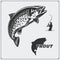 Vector illustration of a trout fish and fishing design elements.