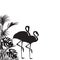 Vector illustration of two flamingos, black silhouette of birds and tropical leaves on white background