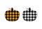 Vector illustration of two pumpkins or cucurbita with buffalo plaid pattern