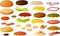 Vector illustration of various burger items isolated on white background