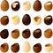 Vector illustration of various kinds of filled chocolate easter eggs