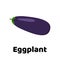 Vector illustration. Vegetable. Eggplant