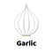 Vector illustration. Vegetable. Garlic