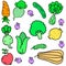 Vector illustration of vegetable various set