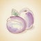 Vector illustration of vintage plum