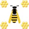 Vector illustration. Wasp with honeycombs, over white background