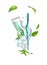 Vector illustration water splash mint toothpaste and brush