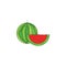 Vector illustration. Watermelon icon