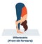 Vector illustration on white background. The girl practices yoga. A yogi stands in a pose front tilt forward. Asana on