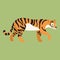 Vector illustration of a wild graceful predatory tiger cat, orange with black stripes handsome, flat style