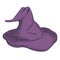 Vector illustration of a witchery hat, mage clothes, purple magic hat