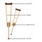 Vector illustration of wooden crutch
