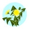 Vector illustration yellow dandelions with leaves and flower. Dandelion vector icon blowing garden botany floral logo.