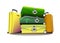 Vector illustration. Yellow and green suitcases for travel