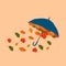 Vector illustrations autumn umbrella with autumn leaves.