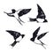 Vector illustrations of the flying swallows Isolated objects Hand drawing Sketch style