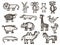 Vector image of animals. Animal sketches - elephant, crocodile, monkey, giraffe, boar, camel, bear, chicken, bird, frog, lion, fo