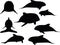 Vector Image - baby animals orca silhouette on white background