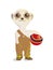 vector image of baby meerkat with a ball