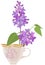 vector image of a branch of blooming lilacs in a tea cup