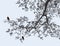 Vector image of a branch of deciduous tree in spring