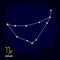 vector image with Capricorn zodiac sign and constellation of Capricorn