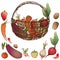 Vector image of crop various ripe vegetables in basket