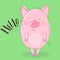 Vector image of a cute pig on a green background with an inscription Hello. Illustration for New Year, Christmas, prints, invitati