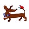 Vector image dachshund with a wreath of flowers, which looks at