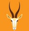 Vector image of an gazelle head