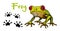 Vector image of a green tree-frog on white background. Frog Red-eye. Sketch of frog, Hand drawn illustration. The frog