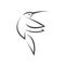 Vector image hummingbird design on white background. icon symbol. Illustrator. Black and White