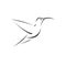 Vector image hummingbird design on white background. icon symbol. Illustrator. Black and White