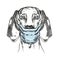 Vector image of a hunting dog. Dog in a medical mask.