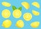 Vector image with isolated lemons