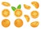 Vector image with isolated oranges