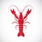 Vector image of an lobster design