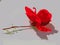 Vector image of lonely red rose on a white surface