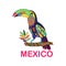 vector image of Mexican bird. Toucan sitting on a branc