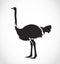 Vector image of an ostrich