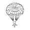 Vector, Image of Parachuting Illustration, black and white color, with transparent background