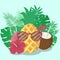 Vector image of pineapple in glasses, cocktail in the form of coconut, hibiscus flowers and tropical plants. Summer illustration o