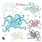 Vector image of several cartoon octopuses on a white background with the words OCTOPUS