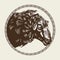 Vector image of a sheep`s head in the style of engraving. Agricultural vintage emblem.